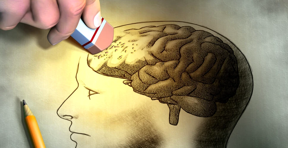 Cum se concentrează creierul pentru a activa memoria de lucru?