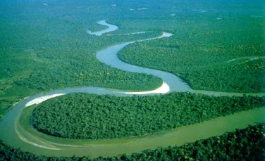 Amazonul curge de 11 milioane ani