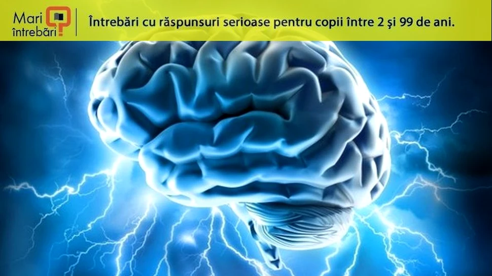 De ce au oamenii creierul atât de mare?