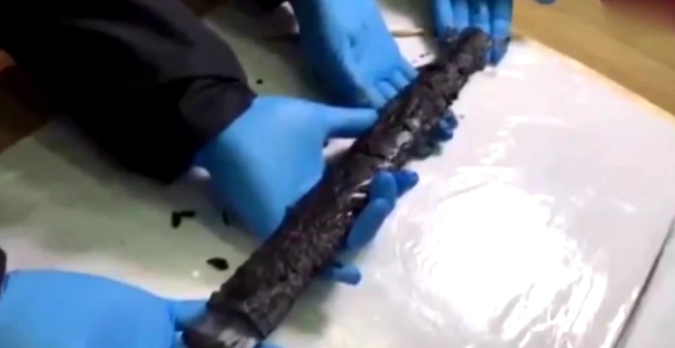 O sabie de acum 2.300 de ani, în stare perfectă, descoperită într-un mormânt