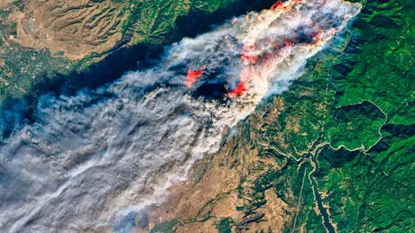 Chiar și după ce sunt stinse, incendiile de vegetație lasă în urmă un fenomen devastator