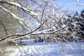 Temperaturile în următoarea perioadă. Ce au anunțat meteorologii?