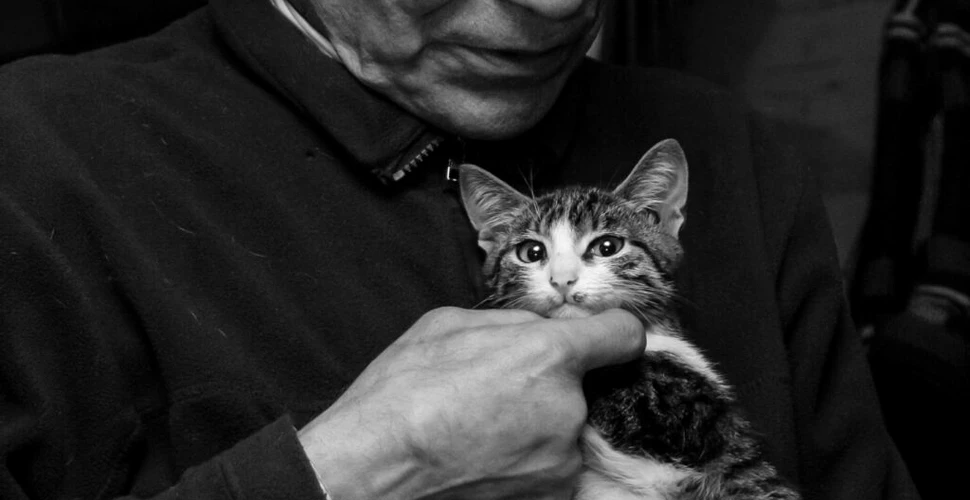 Louis Camuti, Doctorul pisicilor. Primul veterinar al felinelor