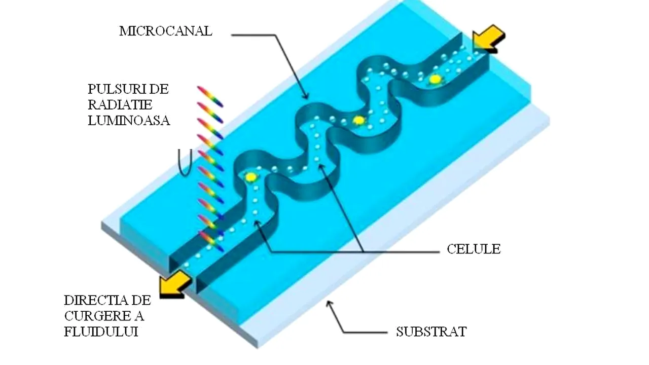 1-analizator-celule-canceroase 