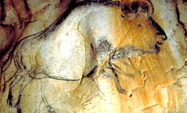 De ce picturile rupestre reprezintă animale cu opt picioare? Doi specialişti dau o explicaţie absolut surprinzătoare (VIDEO)