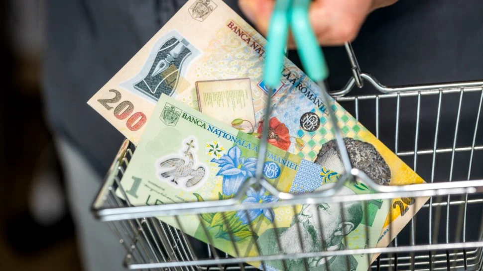 Câți bani aduce la PIB fiecare leu cheltuit prin carduri de masă?