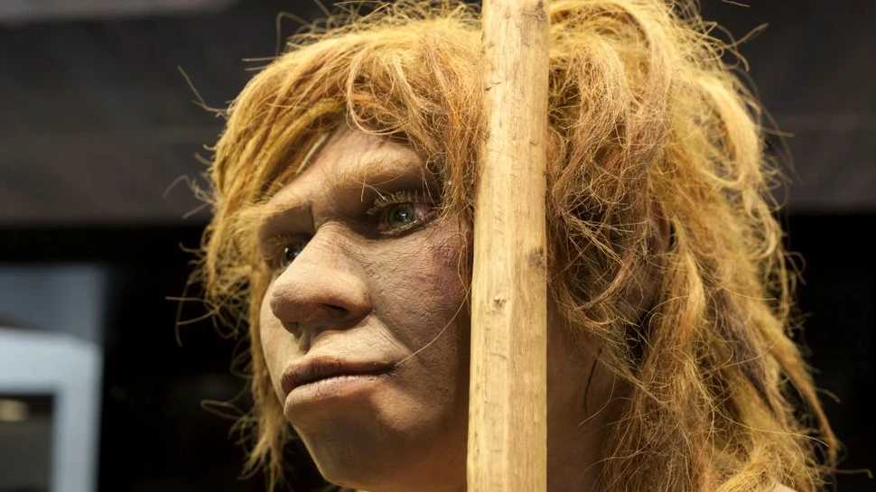 Capacitatea de adaptare a locuitorilor din Melanezia se află în ADN-ul moştenit de la neanderthalieni şi de la denisovani