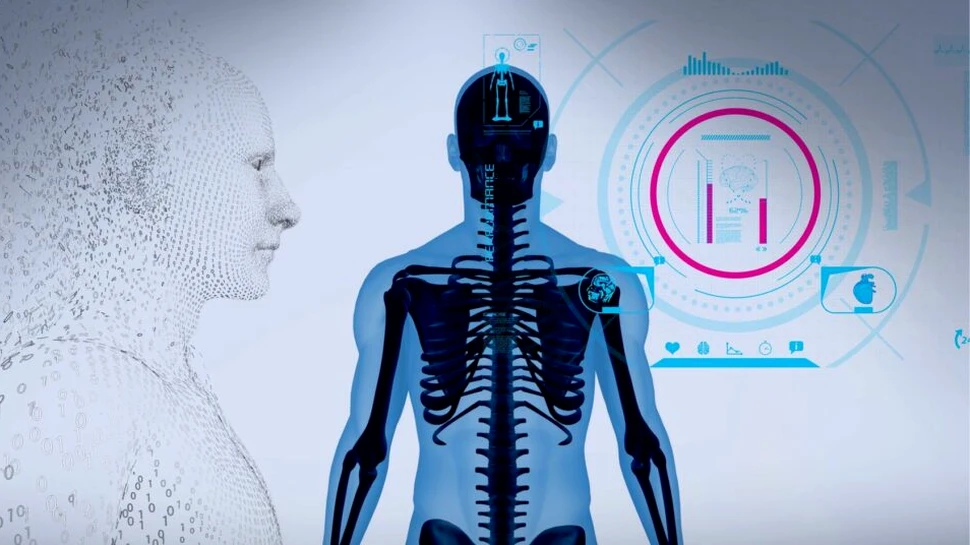 Test de cultură generală. Cât cântărește capul uman?