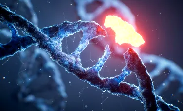 Cinci boli foarte diferite ar putea avea o legătură biologică ascunsă, au descoperit cercetătorii