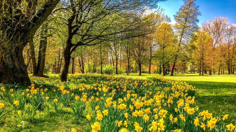 Vremea în prima săptămână din mai. Ce arată prognoza anunțată de ANM?