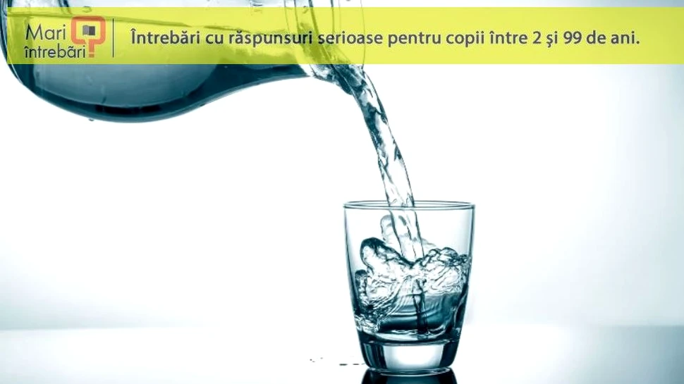 Ce gust are apa?