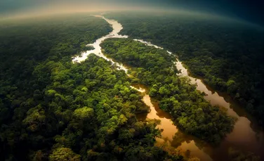 Luigi Cani, Gardianul Amazonului. Peste 100 de milioane de semințe de copaci „plantate” din cer în mijlocul „Plămânilor Lumii”