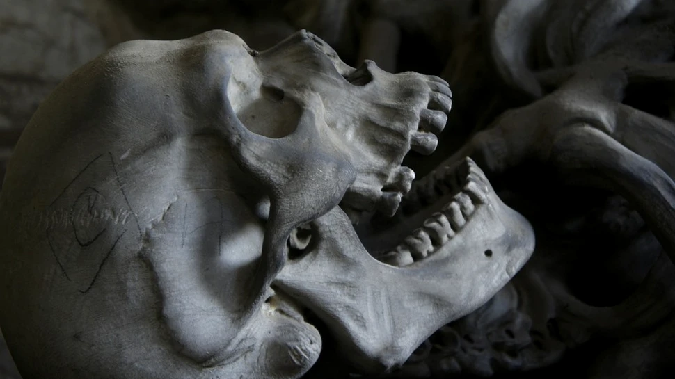 Descoperire sinistră în beciul unui han care datează din anii 1400