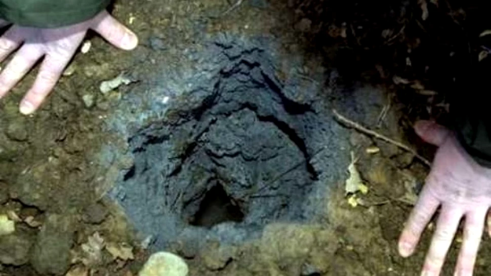 Fosilele de mamuti americani prezinta urme de meteoriti