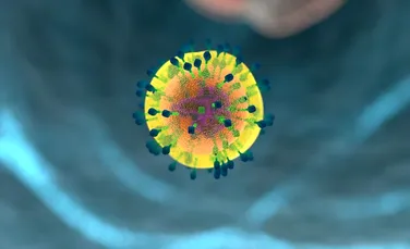 Cercetătorii au descoperit un nou tip de celule T care poate elimina mai multe tipuri de  cancer