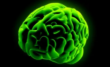 Oamenii de ştiinţă au reuşit să manipuleze memoria, creând „amintiri artificiale”