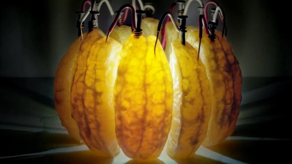 Cum puteţi obţine singuri curent electric, cu ajutorul fructelor? Galerie FOTO impresionantă