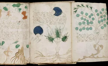 Manuscrisul Voynich: limbă pierdută sau cifru genial?