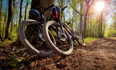 Biciclete furate din Germania, găsite de polițiști la domicilii din România