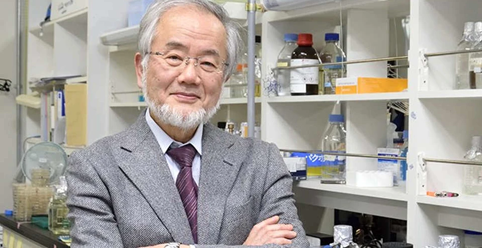 Yoshinori Ohsumi a câştigat Premiul Nobel pentru Medicină în 2016