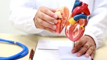 Un biolog explică de ce cancerul la inimă este atât de rar