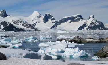 Microplastice, descoperite pentru prima dată în zăpada proaspăt căzută din Antarctica. „Este incredibil de trist”
