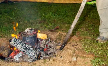 Materialul-minune folosit de neanderthalieni la orice, inclusiv ca antibiotic