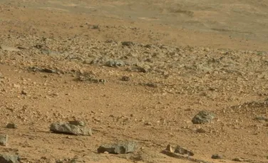 O „creatură ciudată” a fost fotografiată pe Marte de roverul Curiosity (FOTO)