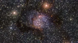 Un „șarpe cosmic” într-o creșă stelară, surprins în noi imagini de la Observatorul European de Sud