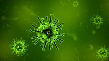 Descoperirea unor tipuri complet noi de virusuri oferă indicii despre originile vieții complexe