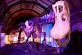 Unul dintre cei mai mari dinozauri de pe Pământ a ajuns pentru prima dată în Europa