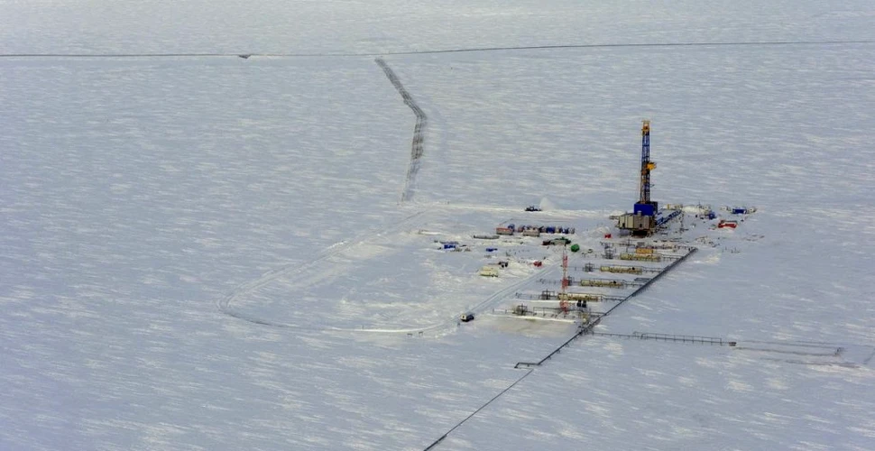 Forajul de petrol în zona protejată arctică din Alaska a fost suspendat