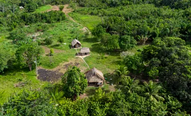 Membrii unui trib necontactat până acum au ieșit din pădurea amazoniană în căutarea hranei