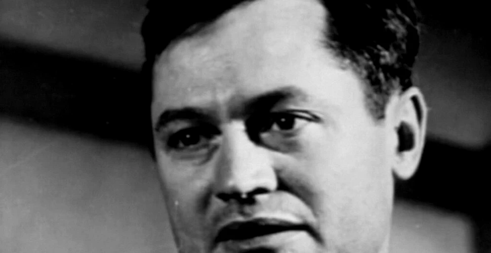 Roger Corman, Regele Filmelor de categoria B