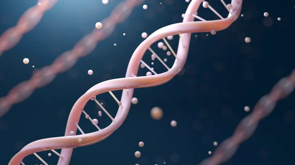 Unele părți ale ADN-ului uman ar evolua mult mai repede decât credeau oamenii de știință