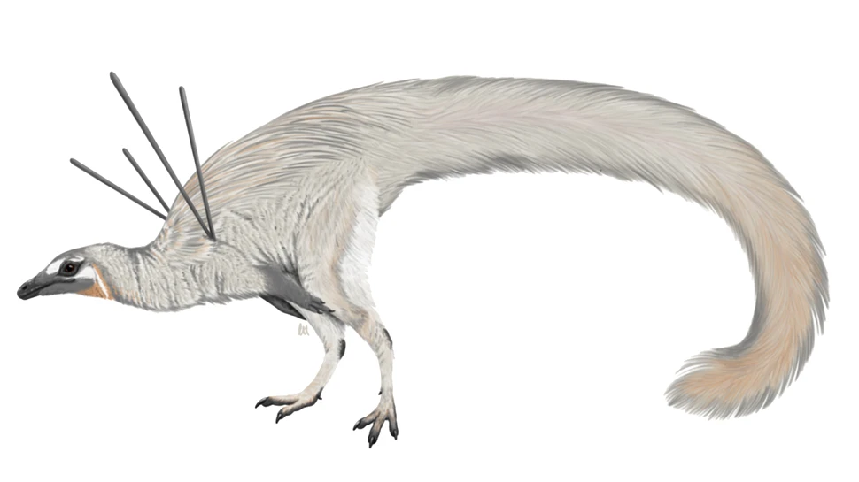O specie bizară de dinozaur i-a nedumerit pe cercetători: „Nu seamănă cu nimic văzut în natură până acum”