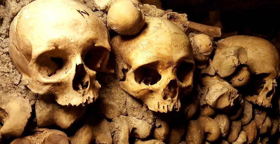 O cercetătoare de la Oxford a analizat 400 de cranii vechi. Analizele au scos la iveală un lucru teribil
