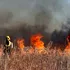 Expunerea la incendiile de vegetație crește riscul de cancer