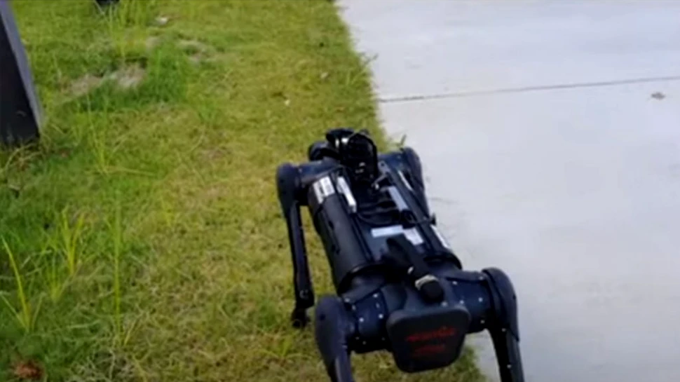 Va apărea robotul care poate merge în siguranță pe trotuare. Ce sarcini poate îndeplini