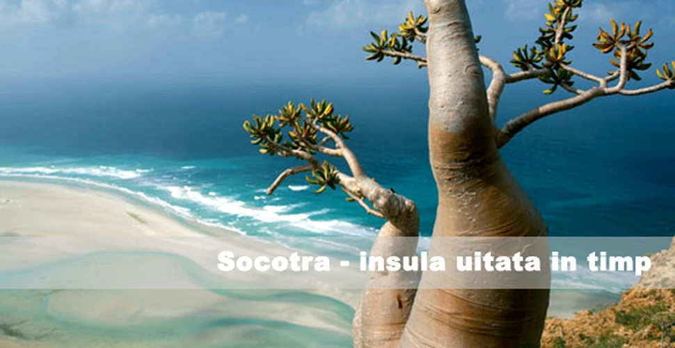 Socotra insula uitata in timp
