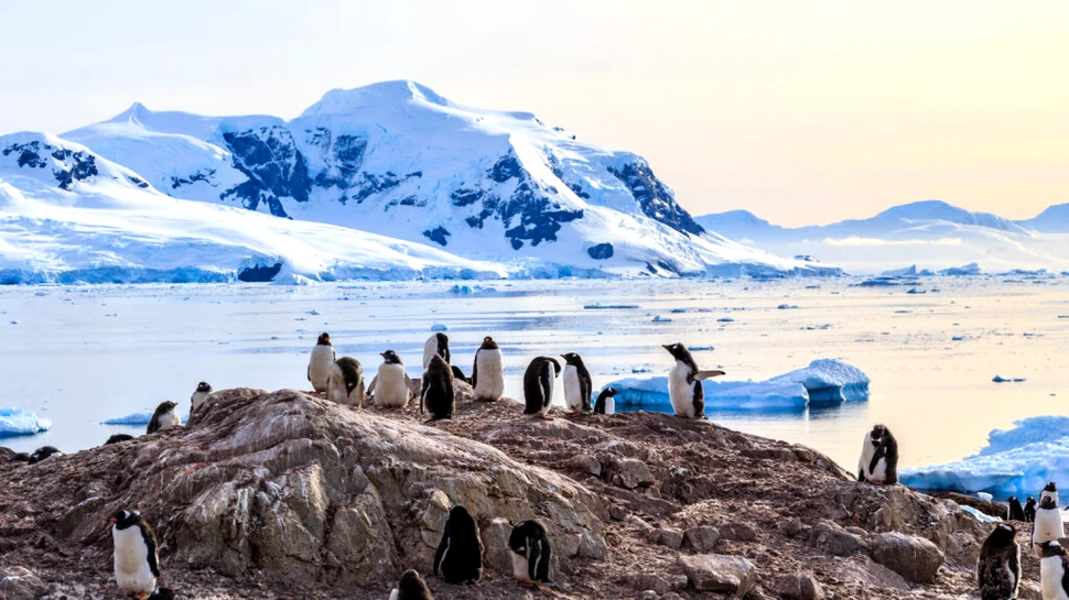 Bacterii „hiper-rezistente”, descoperite în solul Antarcticii. O nouă amenințare pentru sănătate?