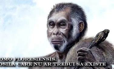 Homo floresiensis – fosila care nu ar trebui sa existe