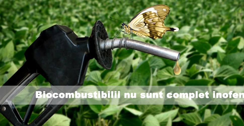 Biocombustibilii nu sunt complet inofensivi