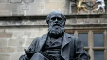 Test de cultură generală. De ce a renunțat Charles Darwin la facultatea de medicină?