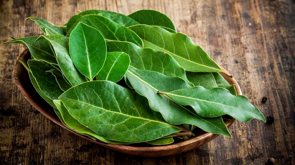 Cum pot fi utiliza foile de dafin pentru eliminarea stresului