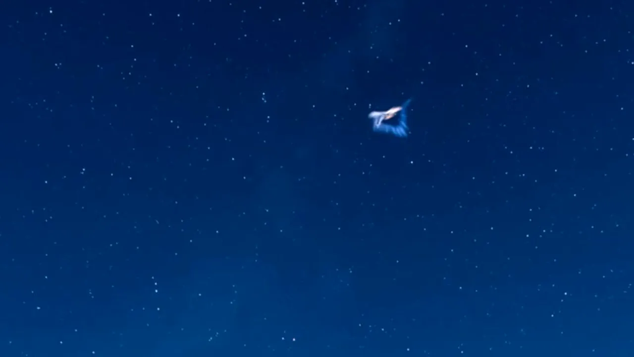 1-meteor-explozie-descopera-yt 