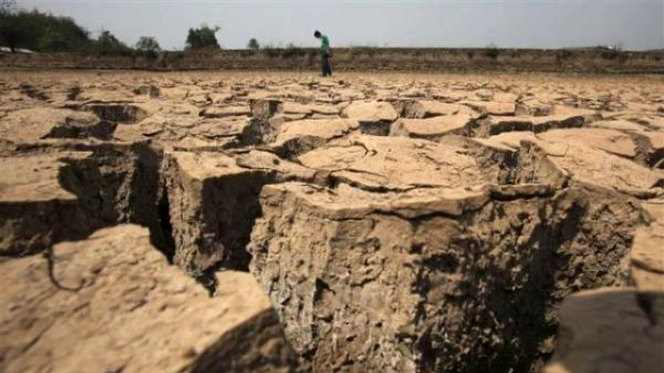 Seceta nemaintalnita in China (FOTO)