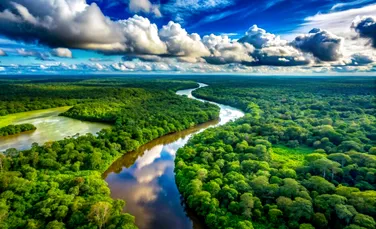 Veste bună din Brazilia! Defrișările din pădurea amazoniană au ajuns la cel mai scăzut nivel din 2019 încoace