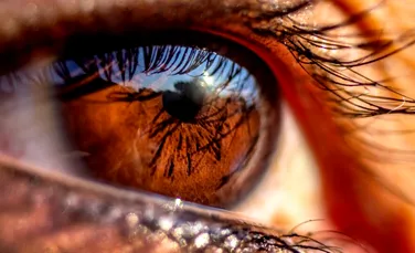 Ochii pot prezice demența cu 12 ani înainte de diagnostic