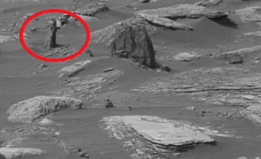 Au existat arbori pe Marte în trecut? O nouă teorie controversată sugerează că un trunchi de arbore apare într-o imagine publicată de NASA